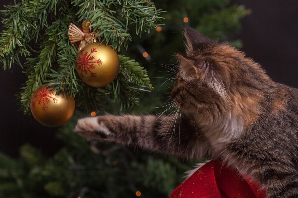 cat print ugly Christmas sweater