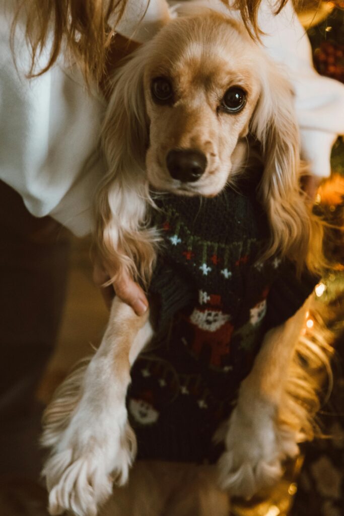 Celebrity Themed Ugly Christmas Sweater