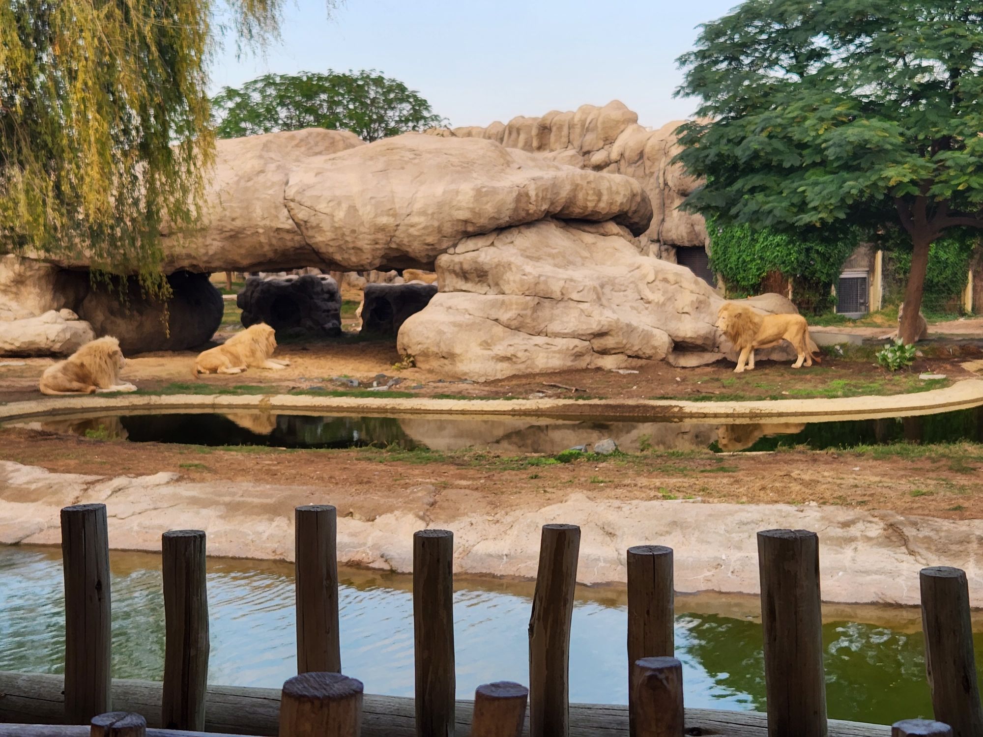 DUbai Safari Park Zoo