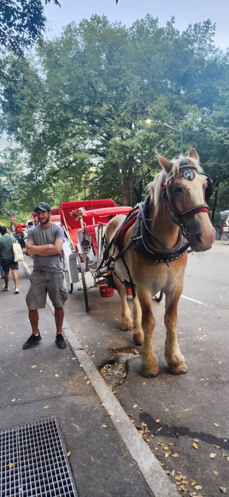 fun things to do in nyc- visit central Park 