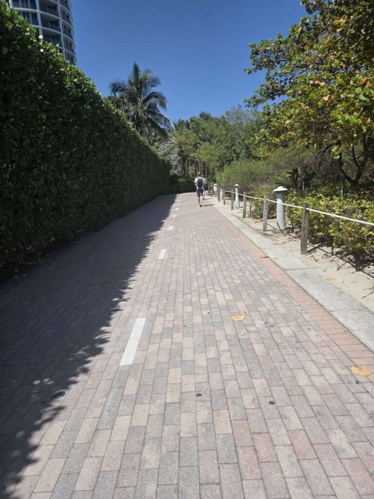 South Beach Miami trails