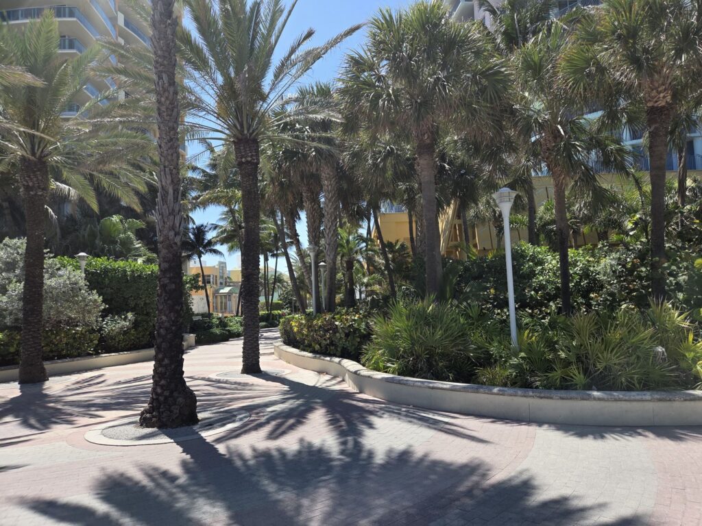 South Beach Miami beach area